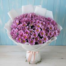 Букет цветов из:  Хризантемы в Чинаре