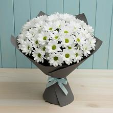 Букет цветов из:  Хризантемы #REPLACE_PRED# Чинаре