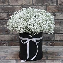 Цветочная композиция из Гипсофила в шляпной коробке в Чинаре