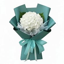 Букет цветов из:  Гортензия в Чинаре
